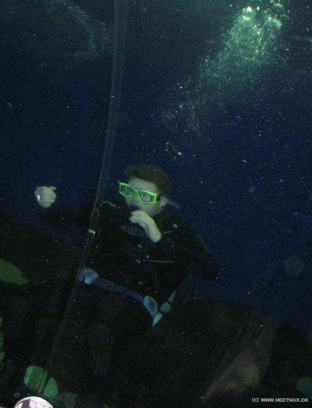 0131_Diver