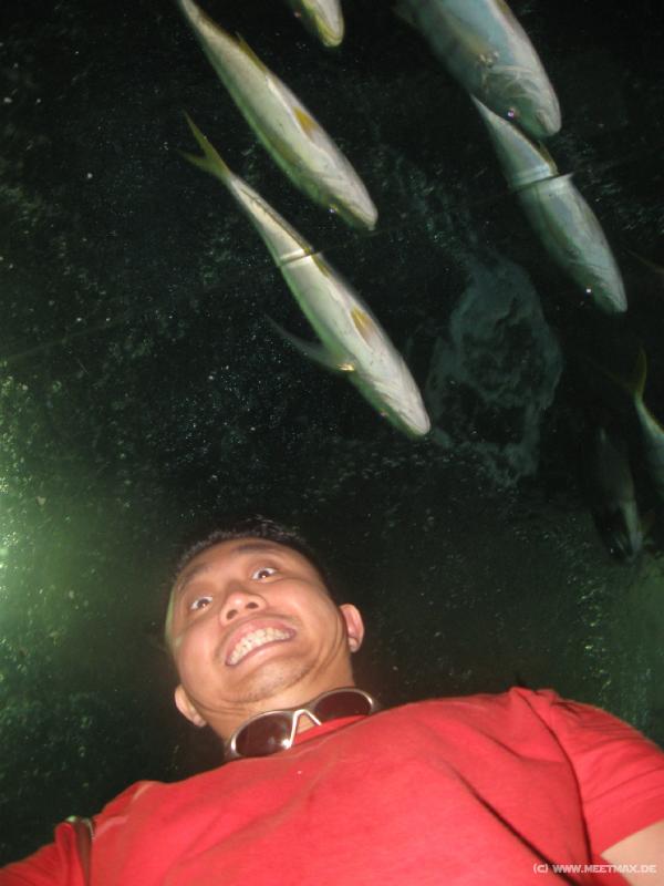 0133_Koh_Meng