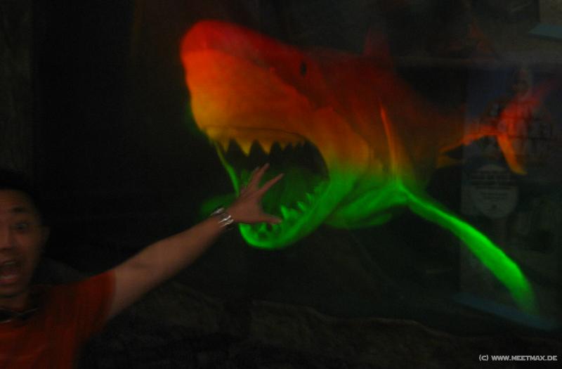 0141_Shark_attack