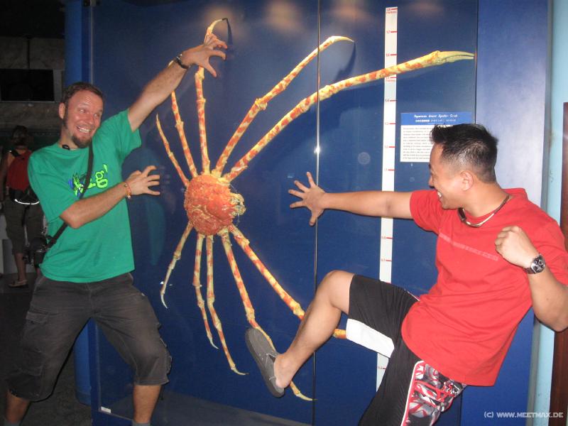 0184_Crab_fight