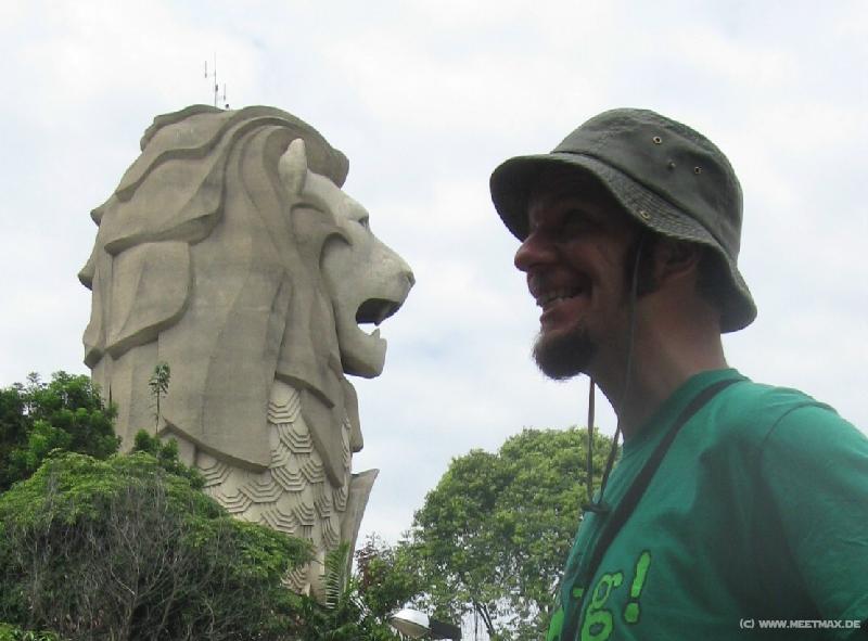 0229_Lions