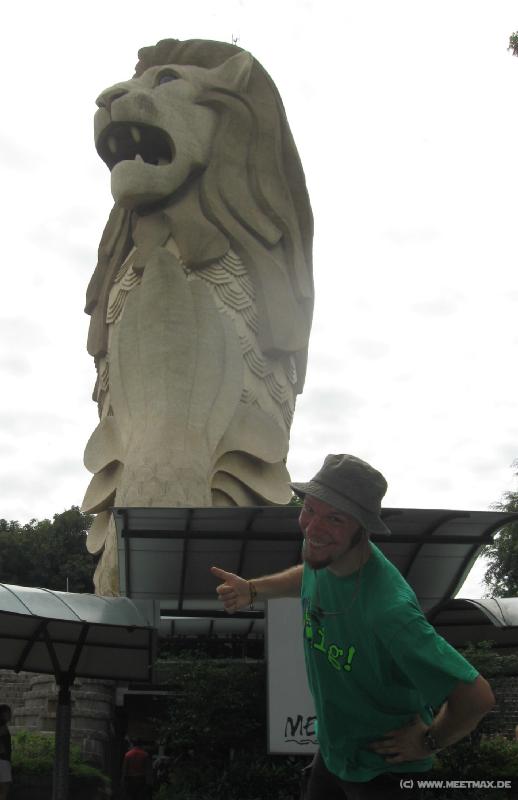 0246_Markuslion