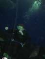 0131_Diver