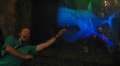 0138_Shark_attack