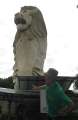 0246_Markuslion