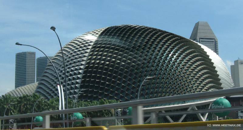 0391_Durian