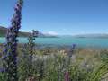 0622_Lake_Tekapo
