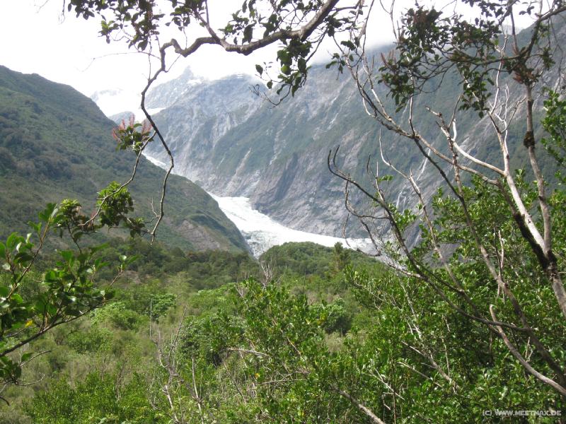 1227_Franz_Josef_Glacier