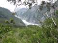 1227_Franz_Josef_Glacier