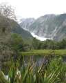 1234_Franz_Josef_Glacier