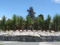 1243_Hokitika