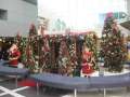 1335_Christchurch_Airport
