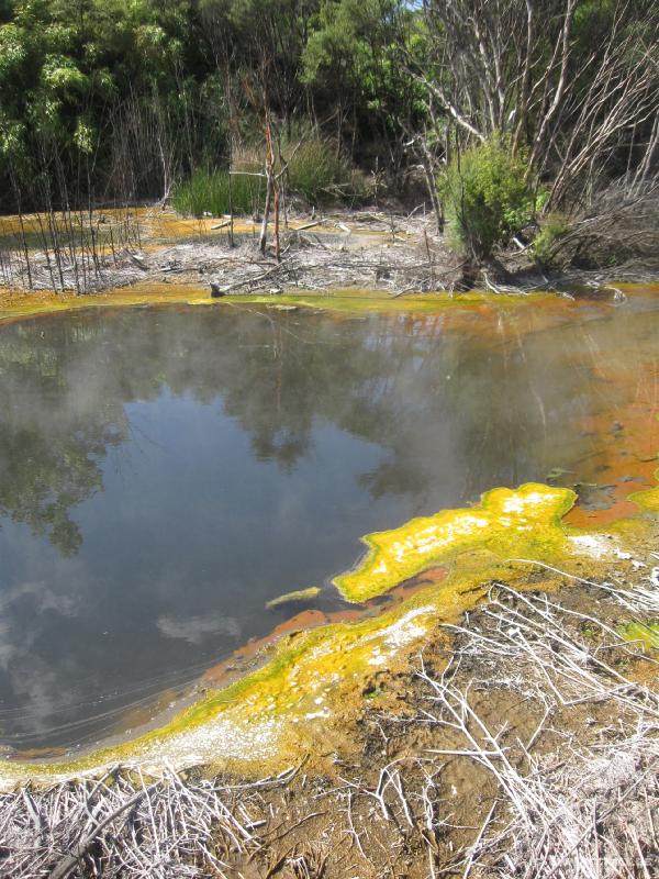 1477