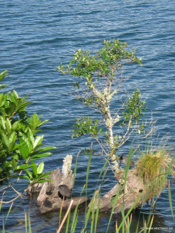 1523_Lake_Tarawera