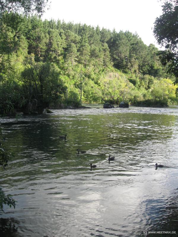 1561_Waikato_River