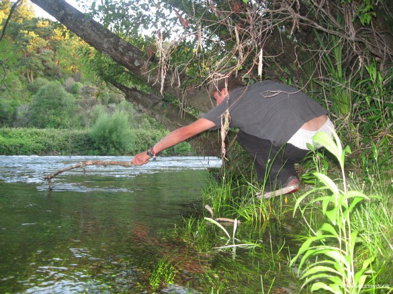 1568_Beer_fishing