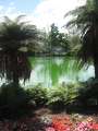 1406_Rotorua