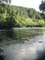 1561_Waikato_River