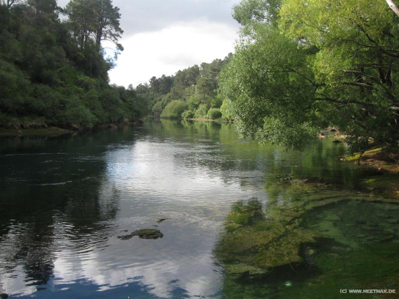1581_Waikato_River