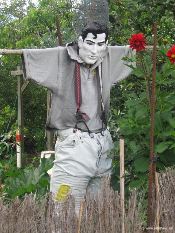 1585_Superman