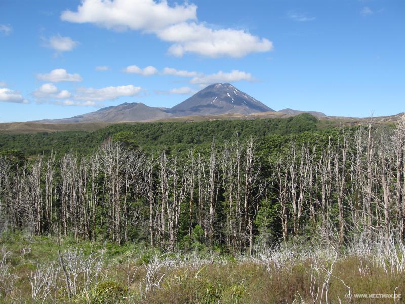 1681_Mt_Ngauruhoe