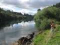 1582_Waikato_River
