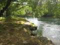 1593_Waikato_River
