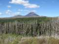 1681_Mt_Ngauruhoe