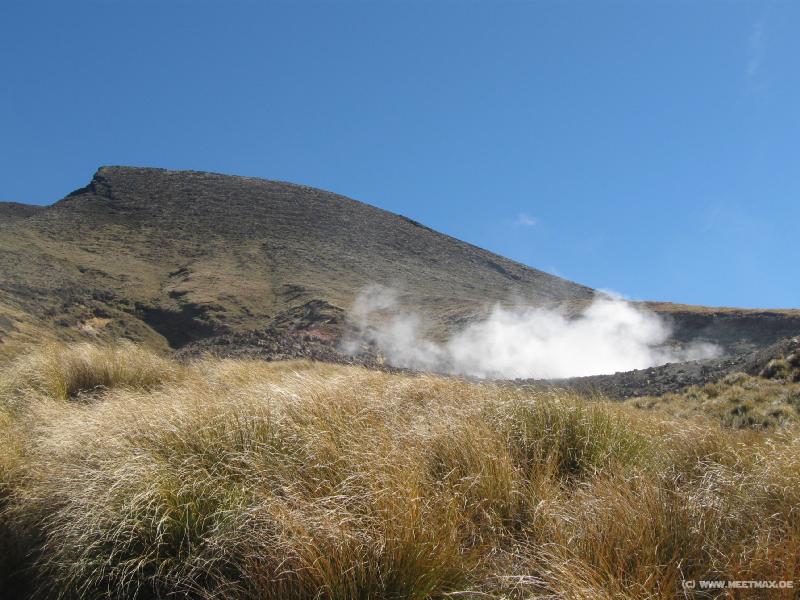 1965_Ketetahi_Springs