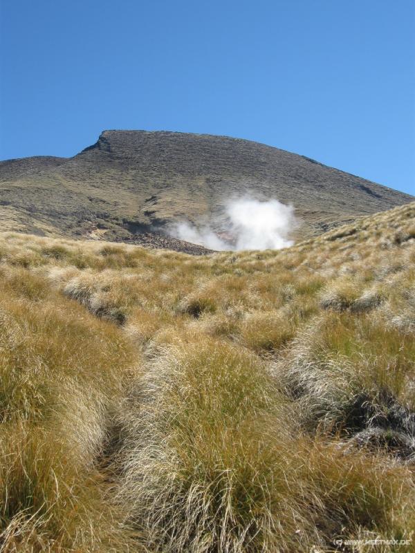 1966_Ketetahi_Springs