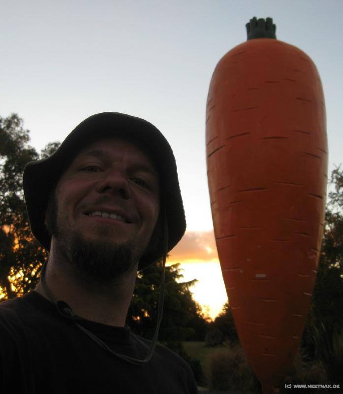 1993_Markus_Big_Carrot