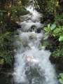 1979_Mangateipua_Stream
