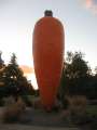 1992_Big_Carrot