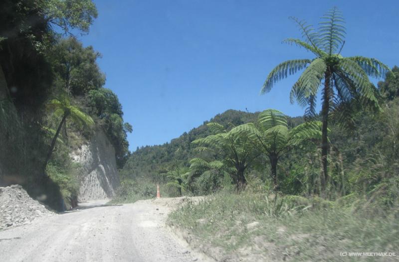 2007