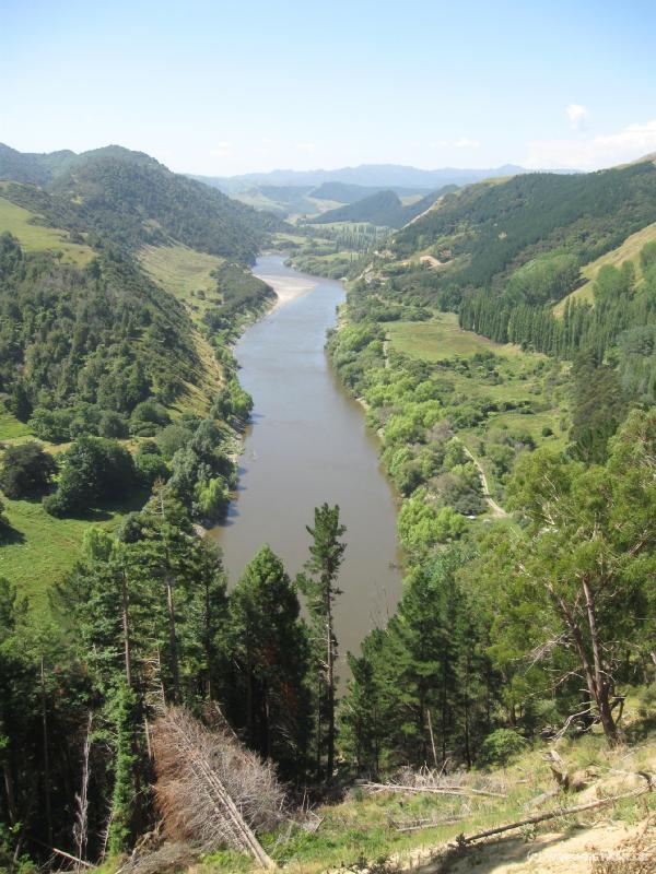 2060_Wanganui_River