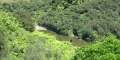 2012_Wanganui_River