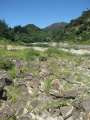 2025_Wanganui_River