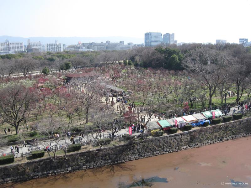 3639_Osaka-jo_Koen