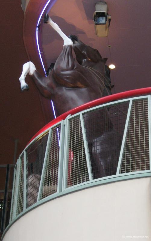 4424_Horse