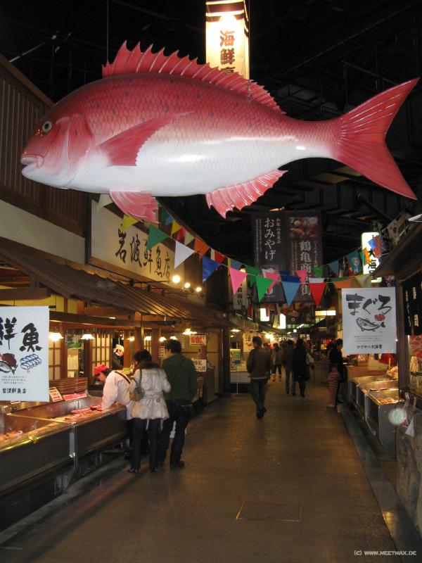 4649_Big_tuna