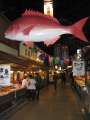 4649_Big_tuna