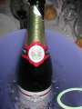 5359_Champagne_Esteve