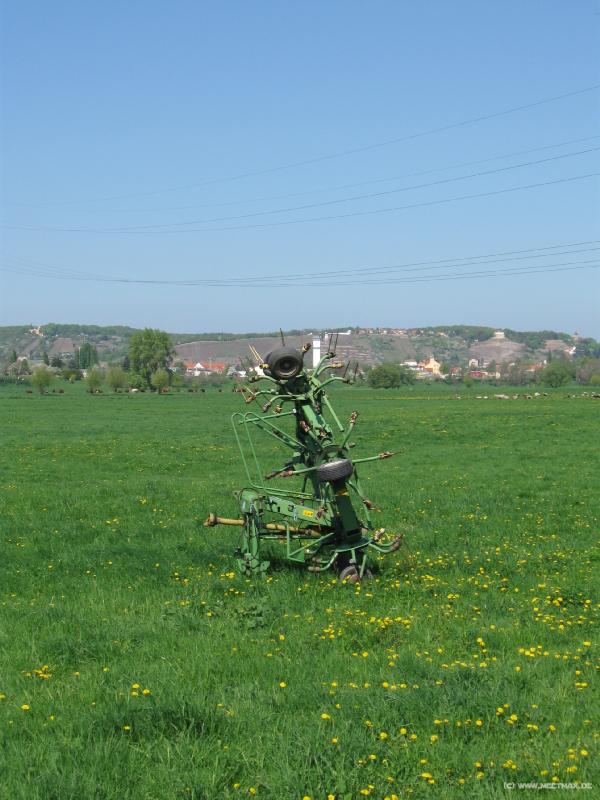 6506_Alien