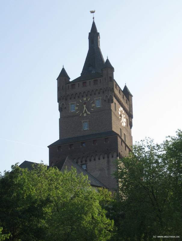 6542_Schwanenburg