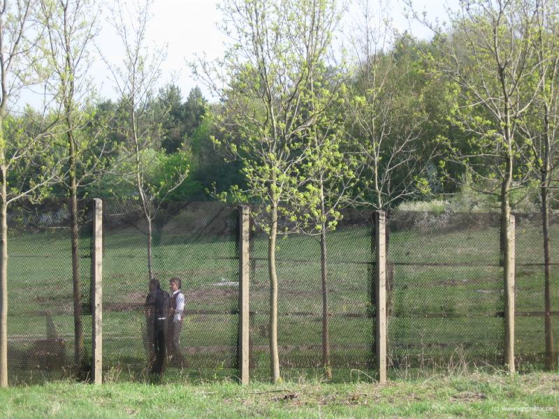 6566_Hinter_der_Grenze