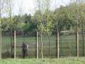 6566_Hinter_der_Grenze