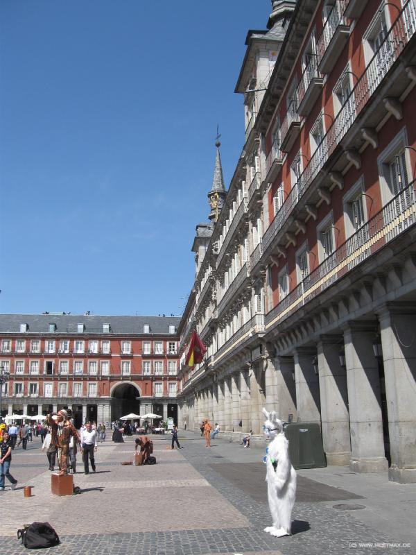 7802_Plaza_Mayor_rabbit