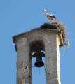 7654_Colmenar_church_stork