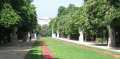 7726_Alley_of_Statues_(heads_in_the_trees)