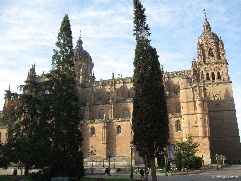 8031_Catedral